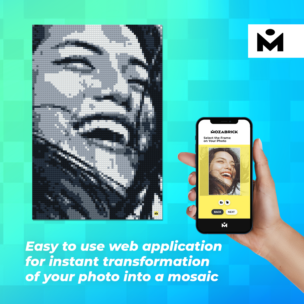 What is MOZABRICK?