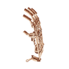 Mano image-2 Italiano