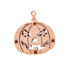 Pumpkin image-3 Italiano