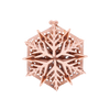Snowflake image-4 Polski