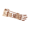 Mano image-1 Italiano