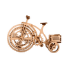 Bicicletta image-2 Italiano