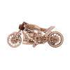 Moto DMS image-2 Italiano