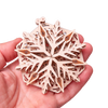 Snowflake image-3 Polski