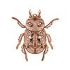 Beetle image-1 Italiano