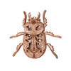 Beetle image-3 Italiano