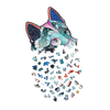 Brave Husky image-3 Italiano