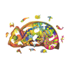 Colorful Chameleon image-2 Italiano