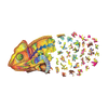 Colorful Chameleon image-3 Italiano