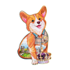 Wspaniały corgi image-1 Polski